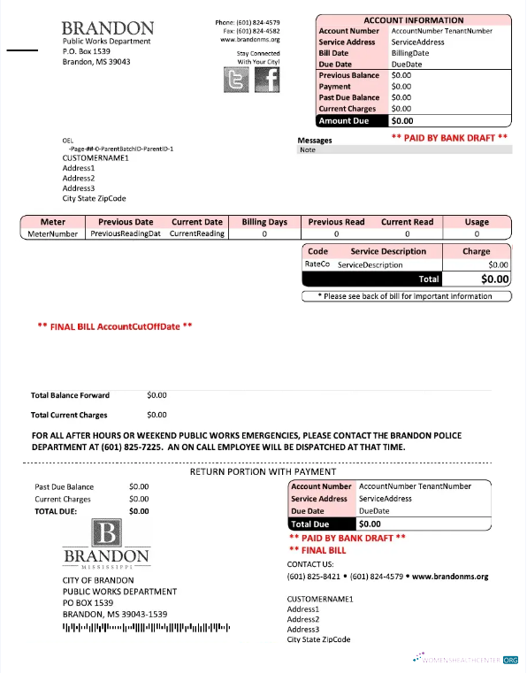 download download USA BRANDON MISSISSIPPI utility bill Word and PDF template PDF template PDF template